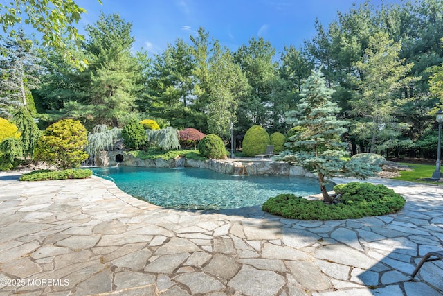 outdoor pool with a patio