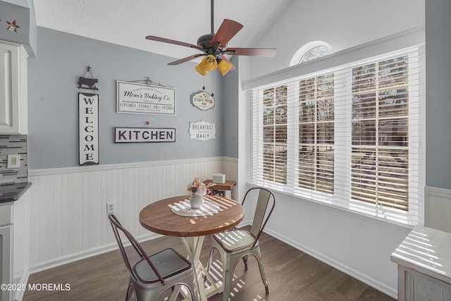 dining area featuring dark wood finished floors, a wainscoted wall, plenty of natural light, and a textured ceiling