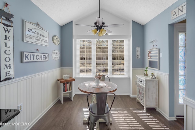 dining space featuring a textured ceiling, dark wood-type flooring, a wealth of natural light, and wainscoting