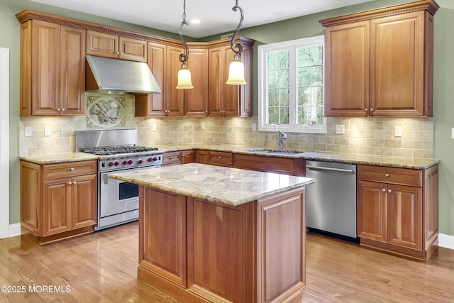 kitchen featuring under cabinet range hood, light wood-style floors, stainless steel appliances, and a sink