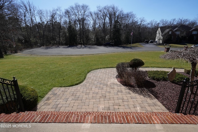 view of yard with a patio