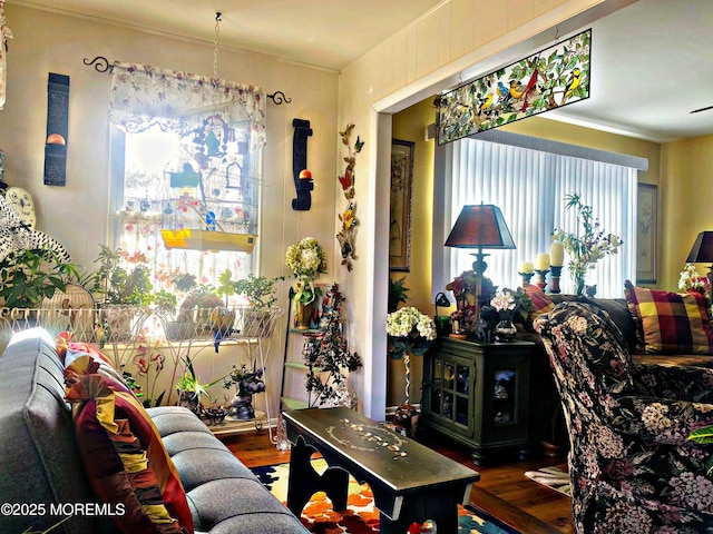 living room featuring wood finished floors