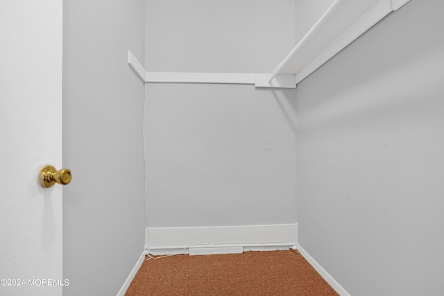 walk in closet featuring carpet