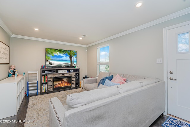 living area featuring plenty of natural light, ornamental molding, dark wood-style flooring, and a glass covered fireplace