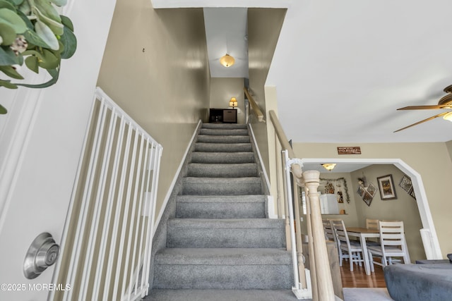 stairs featuring wood finished floors and a ceiling fan