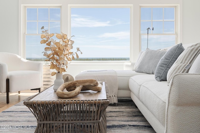 living area featuring wood finished floors