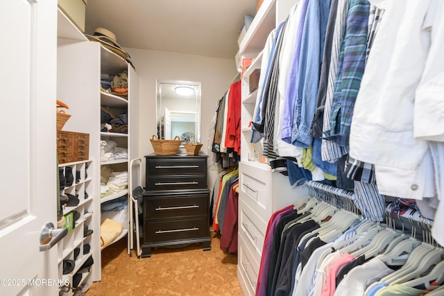 view of walk in closet