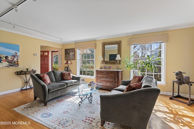 living area featuring ornamental molding, baseboards, plenty of natural light, and hardwood / wood-style floors