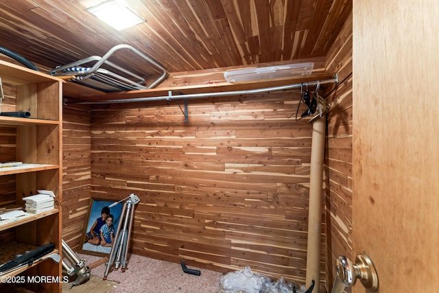 spacious closet with carpet