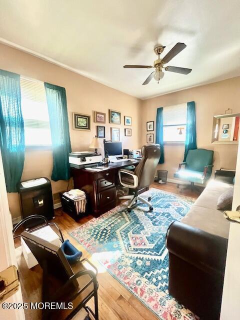 office space with a ceiling fan, a healthy amount of sunlight, and wood finished floors