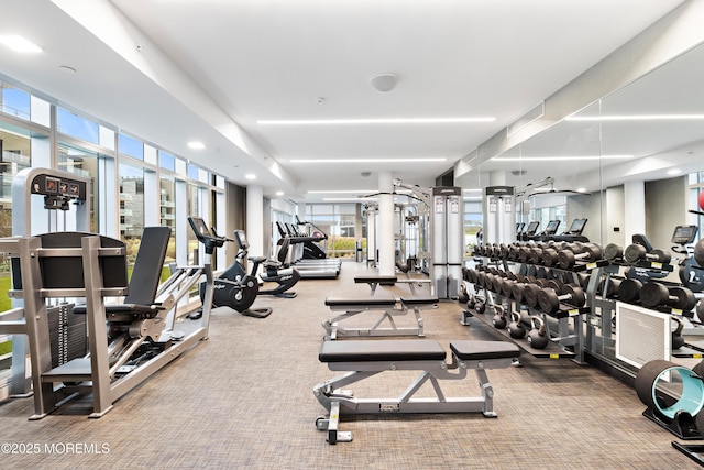 gym featuring plenty of natural light and carpet