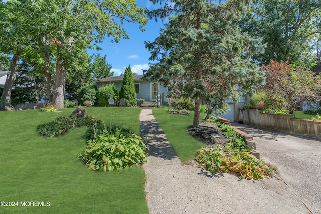 view of yard featuring a garage and concrete driveway