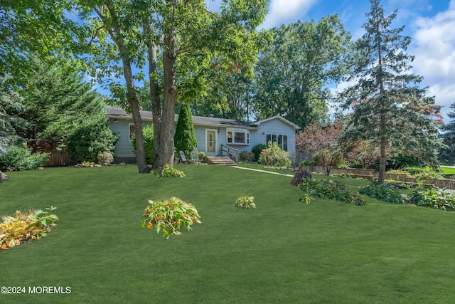 view of front of home featuring entry steps, fence, and a front lawn