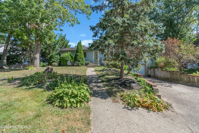 view of property hidden behind natural elements featuring a garage and concrete driveway