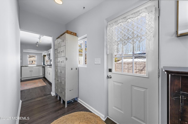 doorway to outside with baseboards and dark wood-style flooring