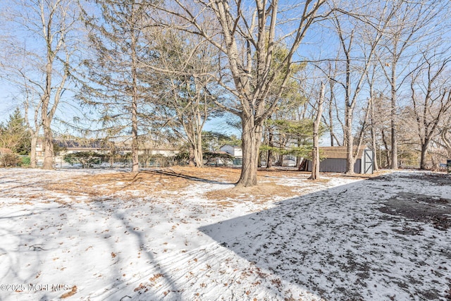 yard covered in snow featuring a storage shed and an outdoor structure