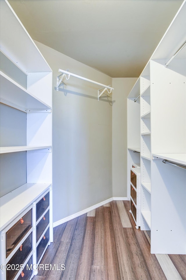 walk in closet featuring wood finished floors