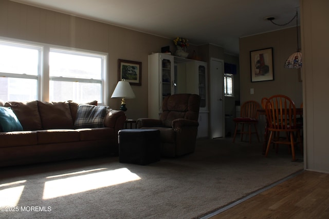 living area with wood finished floors