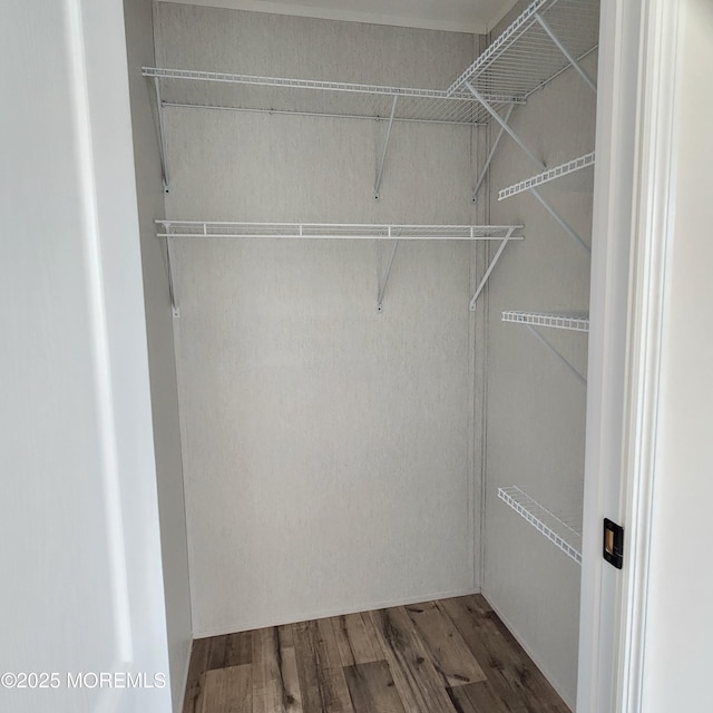 spacious closet featuring wood finished floors