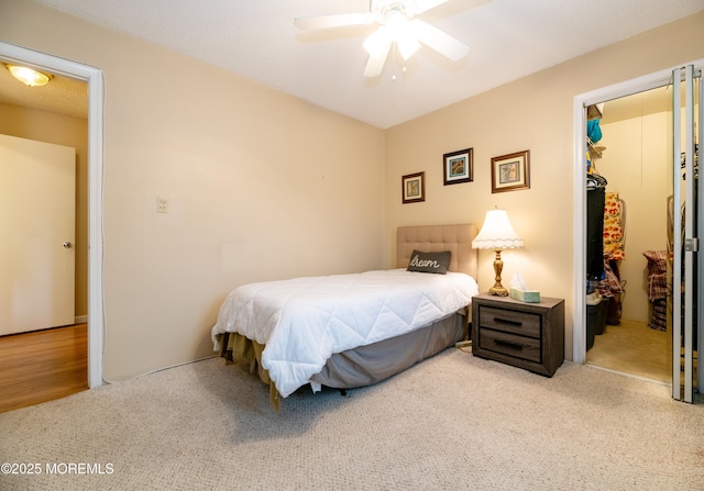 bedroom featuring ceiling fan, carpet floors, a closet, and a walk in closet