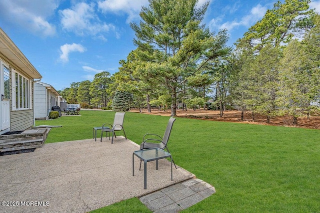 view of yard featuring a patio area