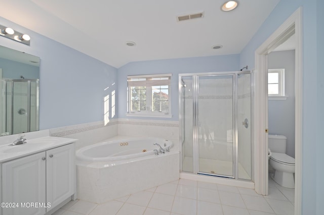 full bathroom with a healthy amount of sunlight, a shower stall, visible vents, and vanity