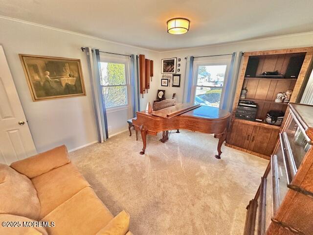 office area featuring carpet floors and baseboards