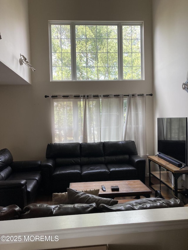 living room featuring a towering ceiling