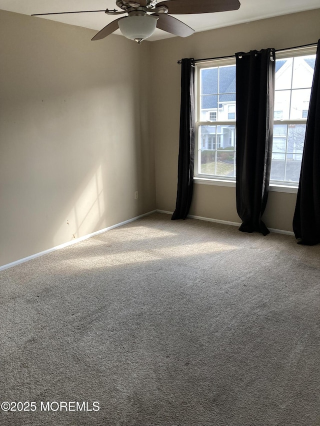 spare room with a wealth of natural light, carpet flooring, and baseboards