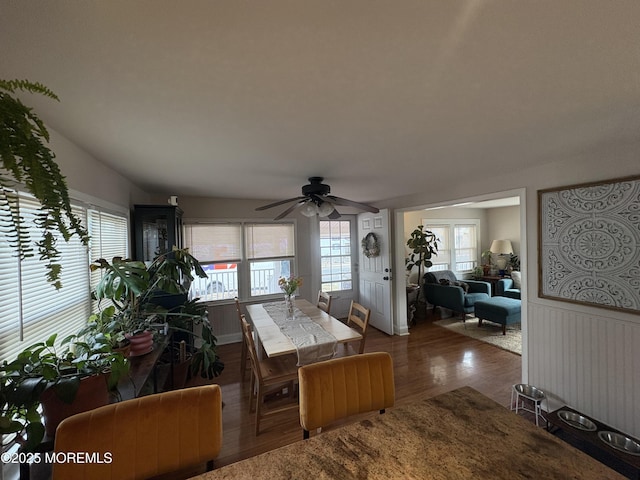 dining room with ceiling fan, wood finished floors, and wainscoting