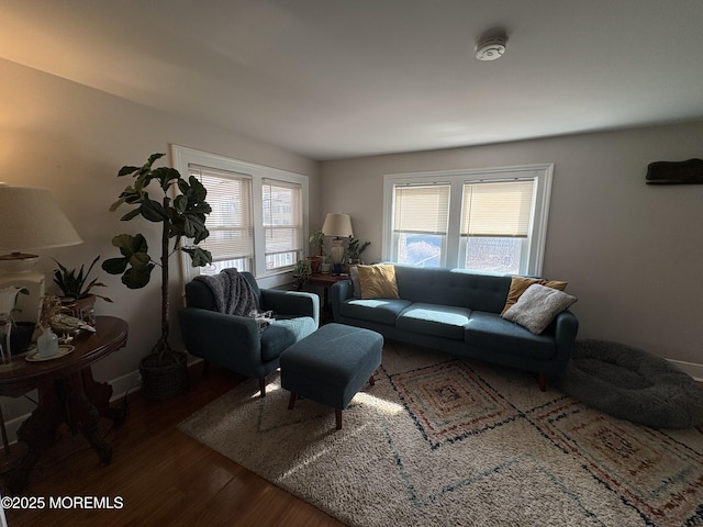 living room with wood finished floors