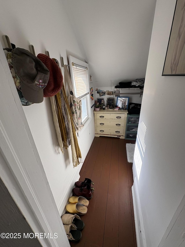 interior space with vaulted ceiling and dark wood-type flooring