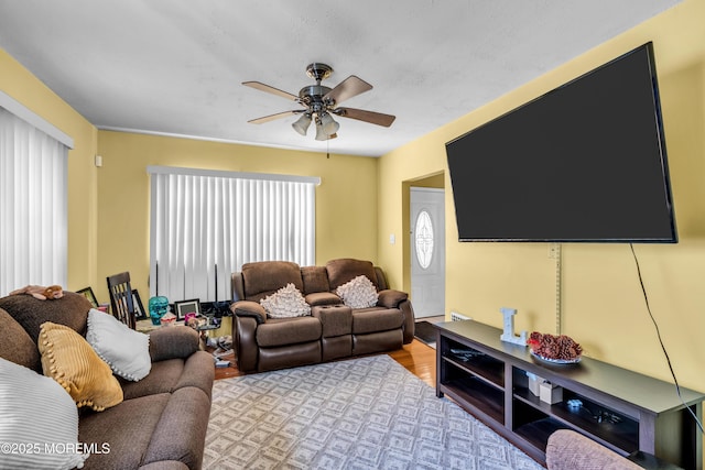 living room featuring a ceiling fan and wood finished floors