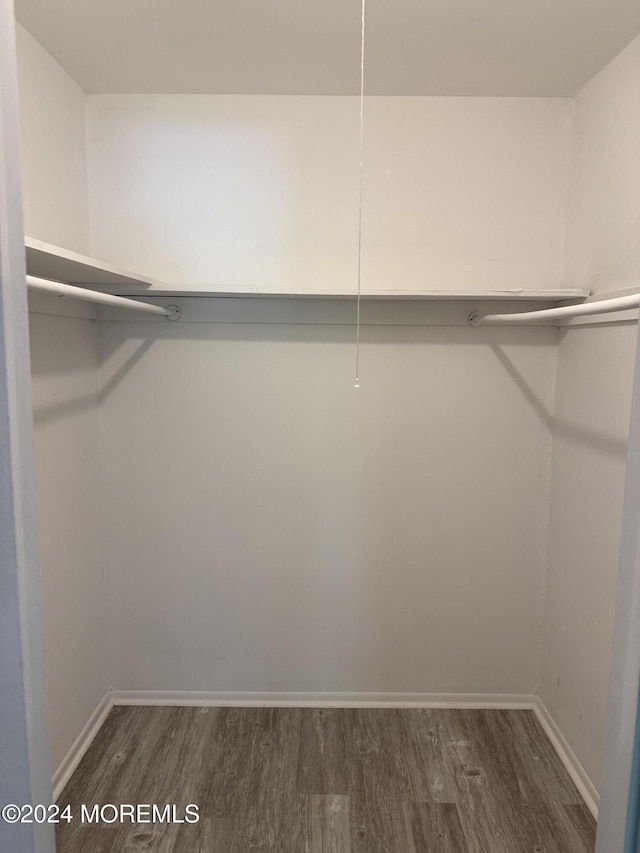 walk in closet featuring dark wood finished floors