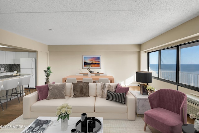 living room featuring light wood-style flooring and a textured ceiling