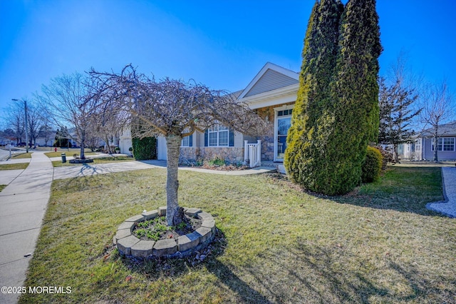 view of property hidden behind natural elements with driveway, stone siding, and a front lawn