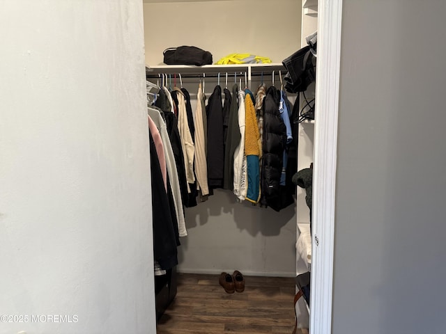 spacious closet featuring wood finished floors