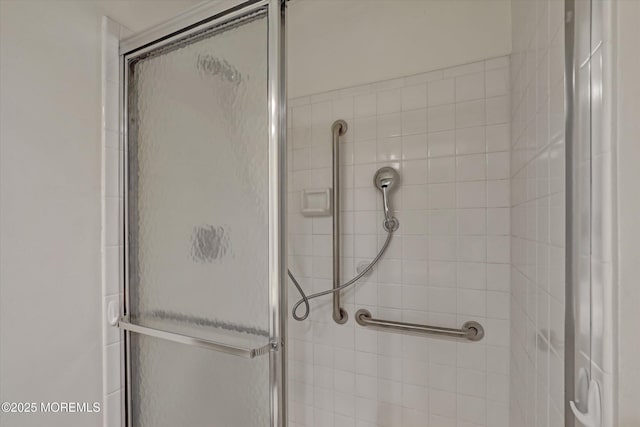 bathroom featuring a shower stall