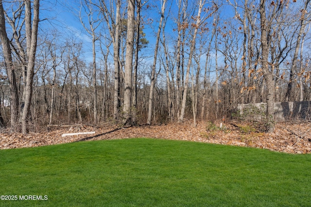 view of yard with a forest view