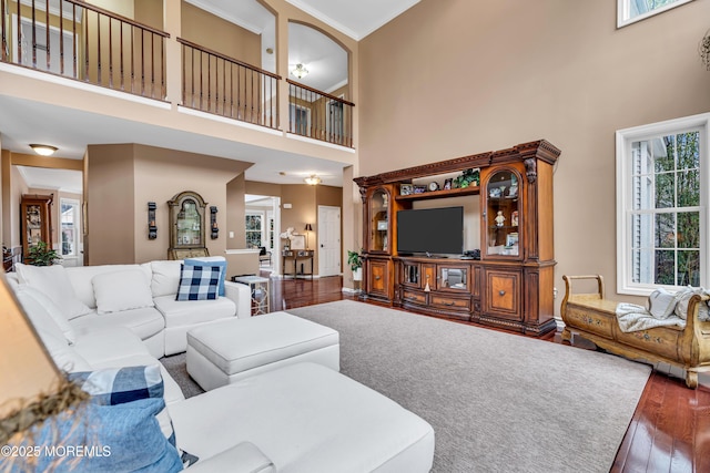 living area featuring hardwood / wood-style flooring, a high ceiling, and ornamental molding