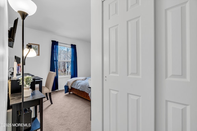 view of carpeted bedroom