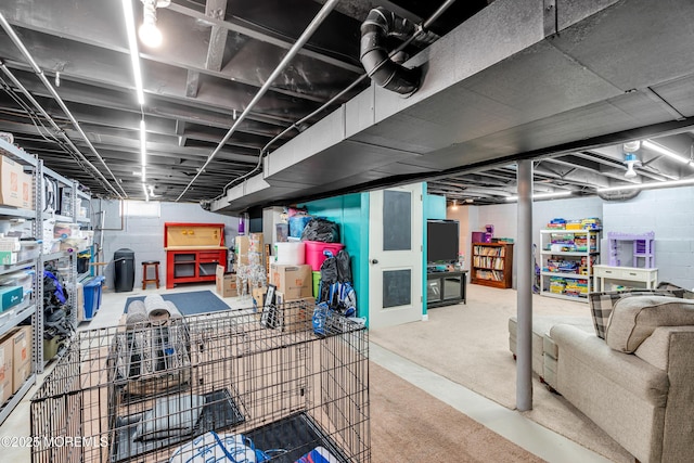 view of finished basement