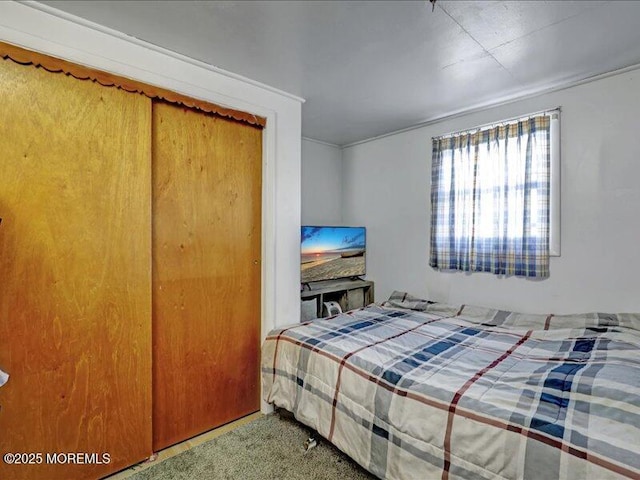 bedroom with carpet flooring