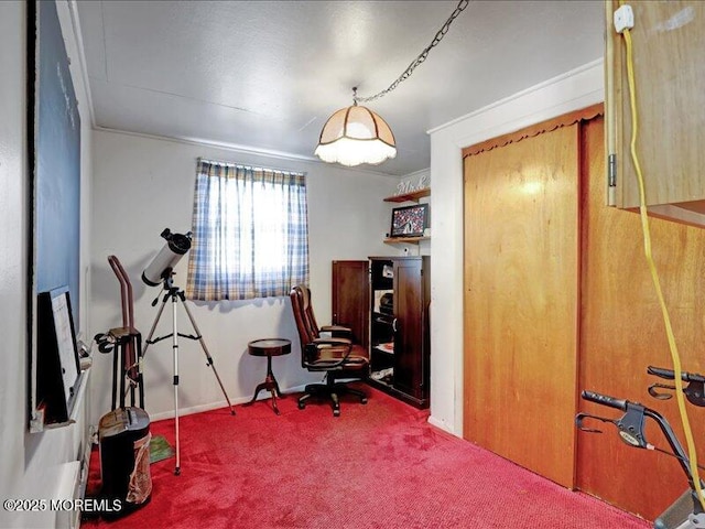 home office featuring carpet flooring and baseboards