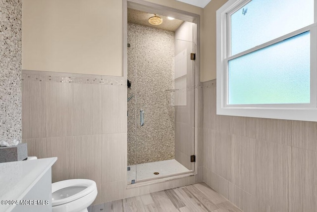 bathroom with toilet, tile walls, a shower stall, and vanity