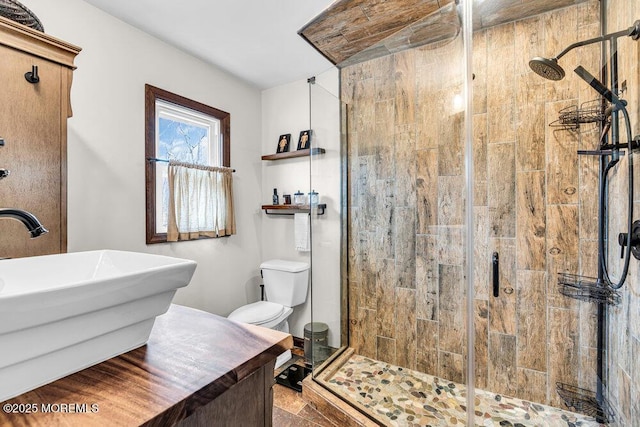 bathroom featuring a sink, a shower stall, and toilet