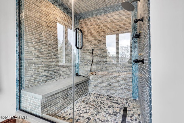 bathroom featuring a shower stall