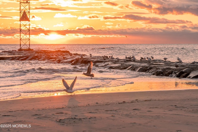 nature at dusk with a water view and a view of the beach