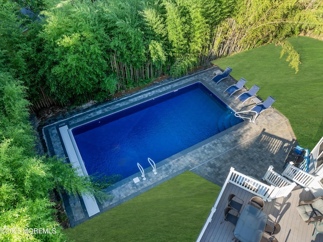 pool featuring a patio area and a lawn