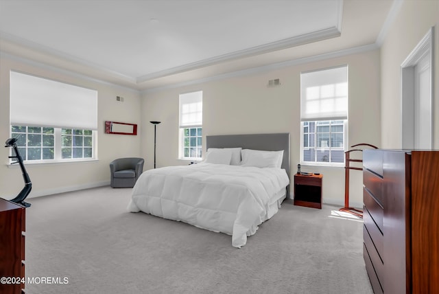 bedroom with multiple windows, a raised ceiling, and carpet flooring